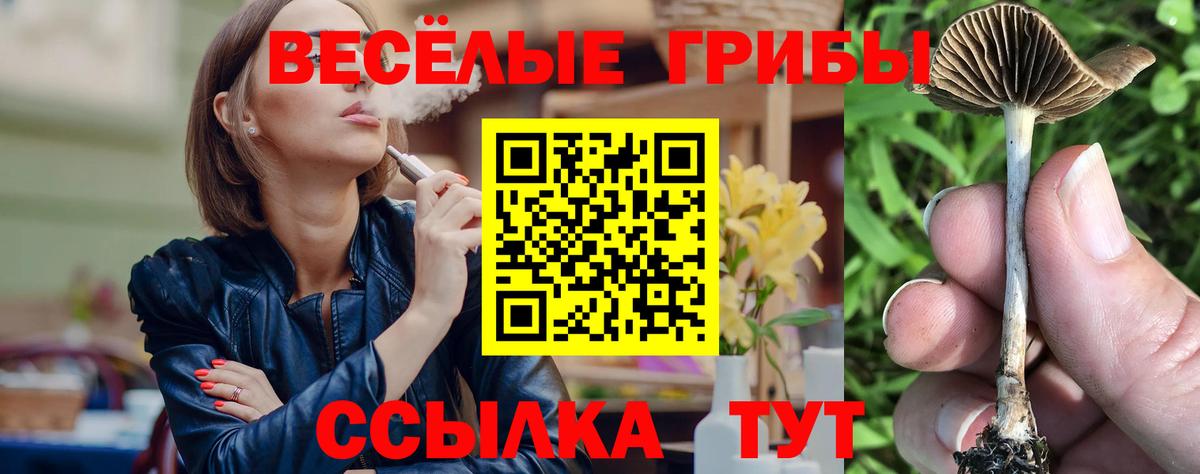 Коломна  Псилоцибиновые грибы ЛСД  Вход с VPN 